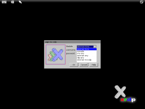 RDP connection screen